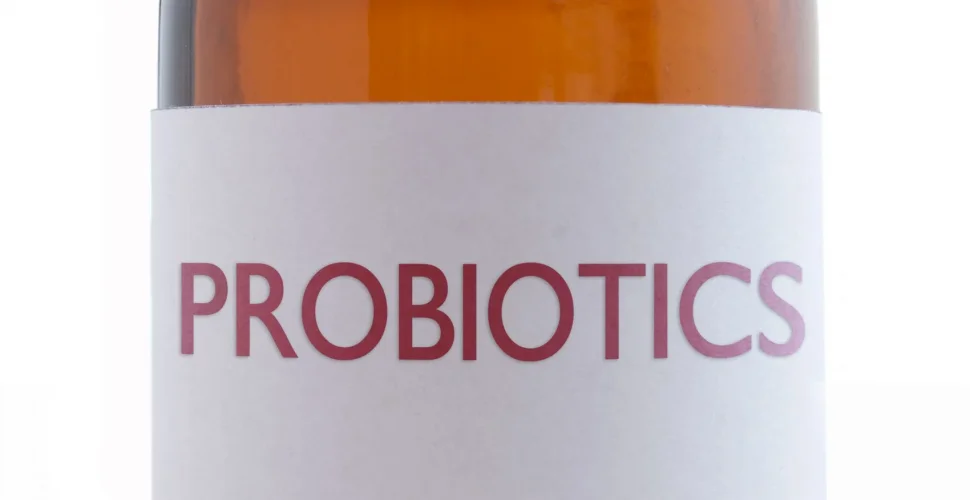 Präbiotika und Probiotika