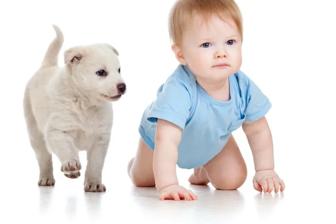 Darum krabbeln Erwachsene nun wie Babys