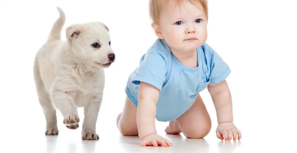 Darum krabbeln Erwachsene nun wie Babys