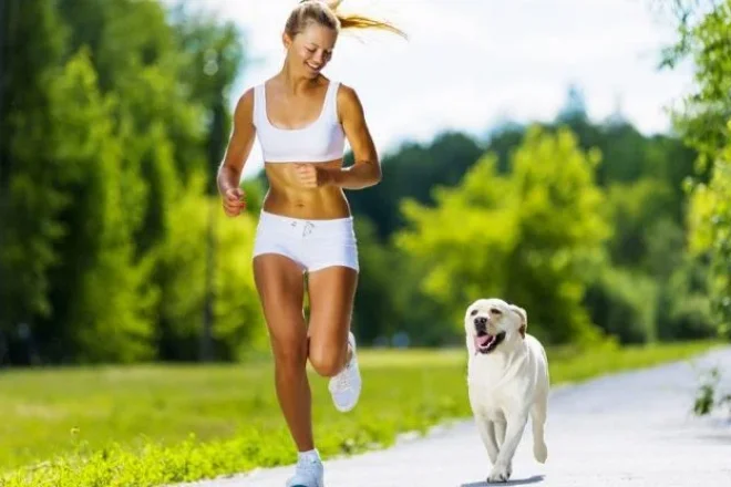 Diese Hunde sind die idealen Laufpartner.